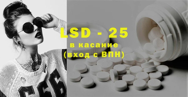 прущие грибы Абаза